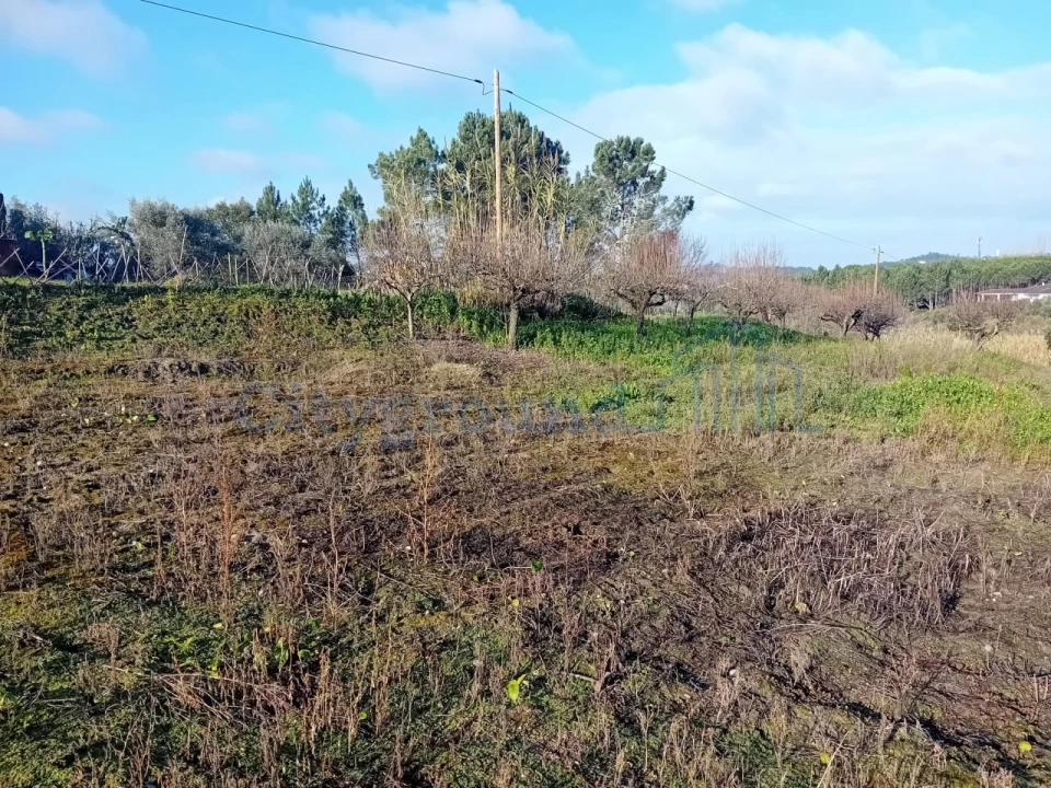 Terreno para Venda em Leiria, Pousos, Barreira e Cortes Foto 6