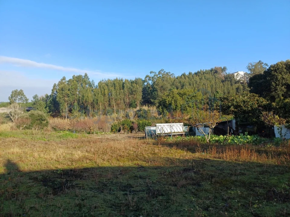 Terreno para Venda em Leiria, Pousos, Barreira e Cortes Foto 11