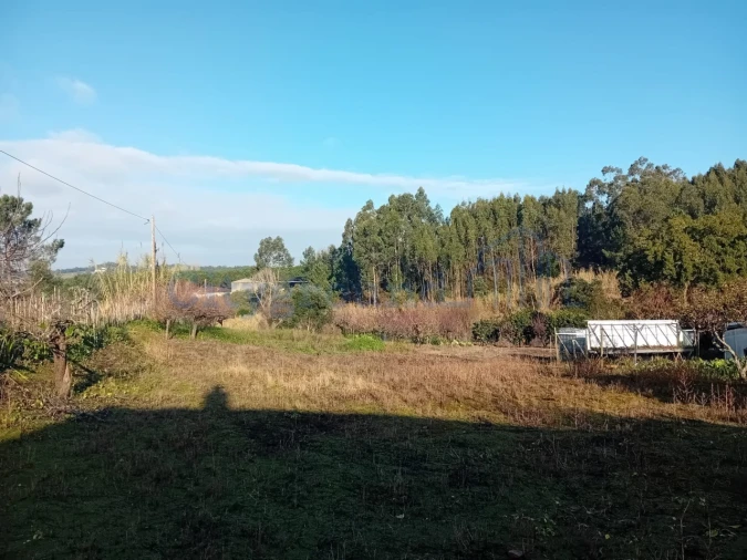 Terreno para Venda em Leiria, Pousos, Barreira e Cortes Foto 5