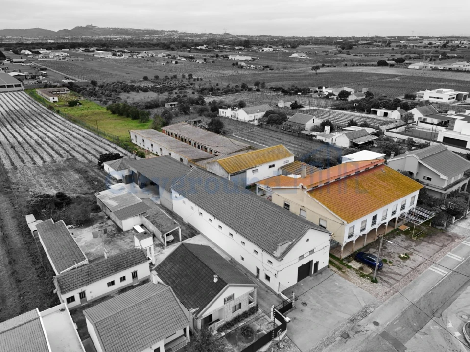 Quinta T14 para Venda em Palmela Foto 2