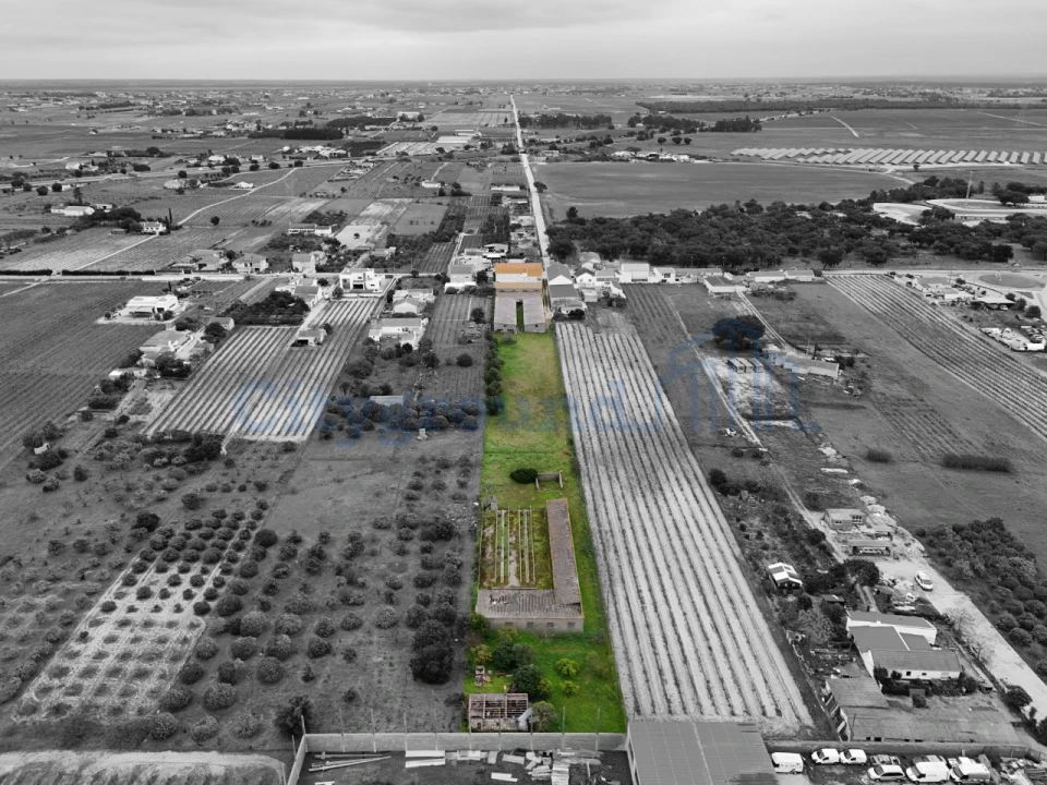 Quinta T14 para Venda em Palmela Foto 4