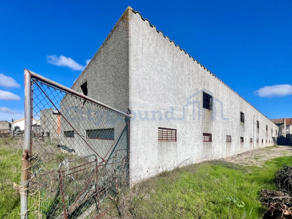 Quinta T14 para Venda em Palmela Foto 13