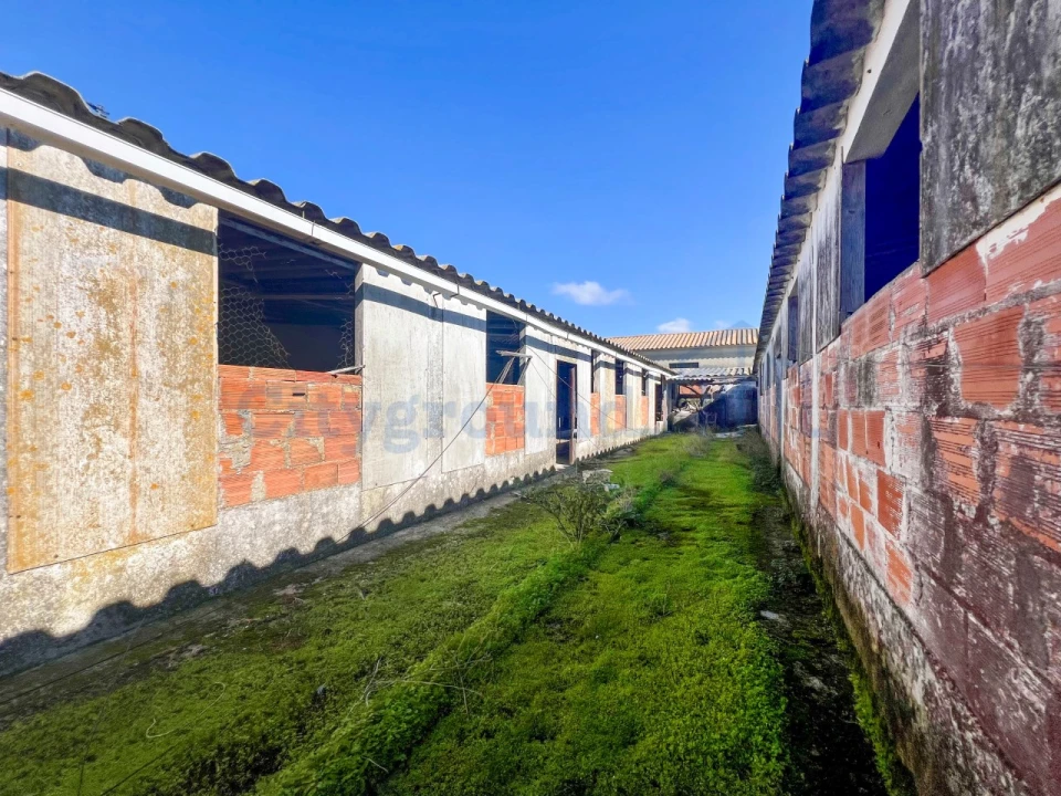 Quinta T14 para Venda em Palmela Foto 50