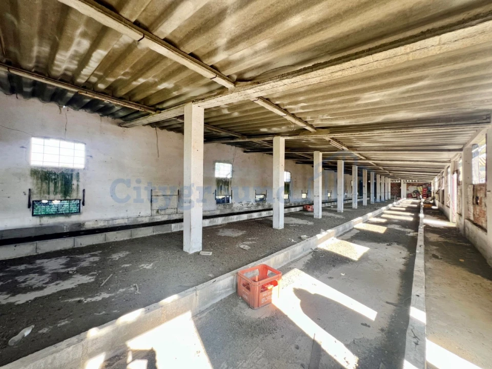 Quinta T14 para Venda em Palmela Foto 51