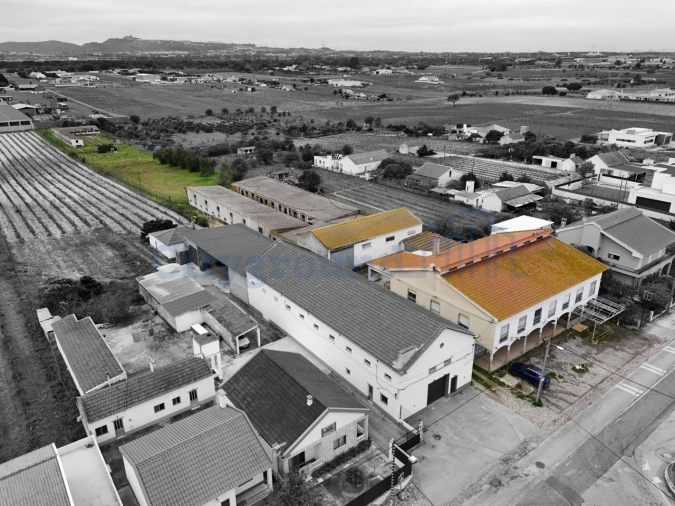 Quinta T14 para Venda em Palmela Foto 2