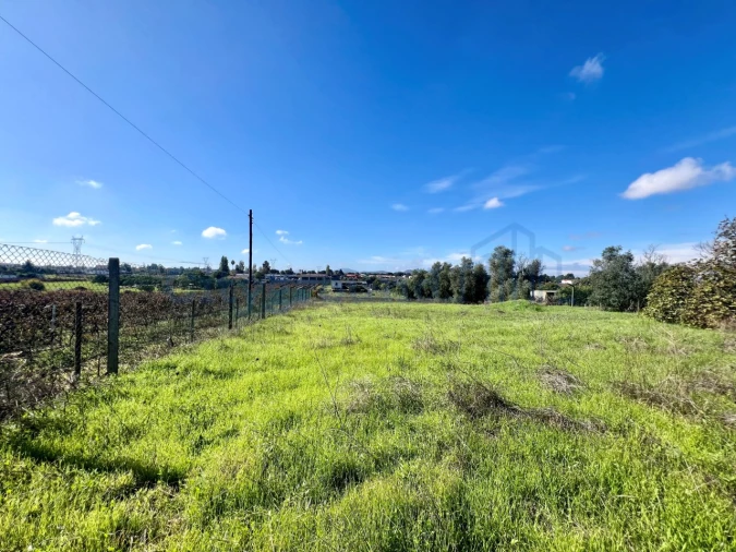 Quinta T14 para Venda em Palmela Foto 14