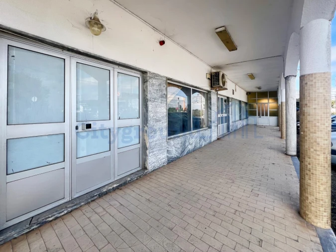 Quinta T14 para Venda em Palmela Foto 48