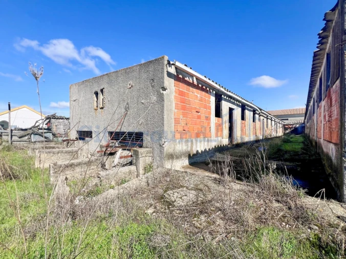 Quinta T14 para Venda em Palmela Foto 49