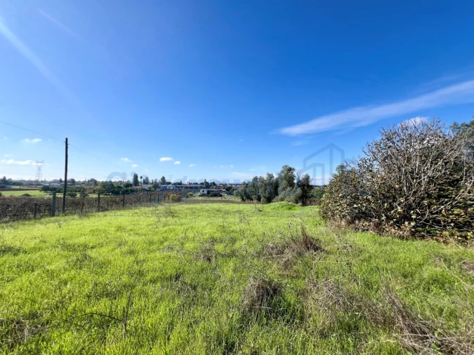 Quinta T14 para Venda em Palmela Foto 52