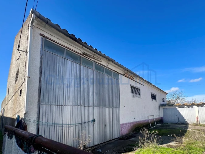 Quinta T14 para Venda em Palmela Foto 53