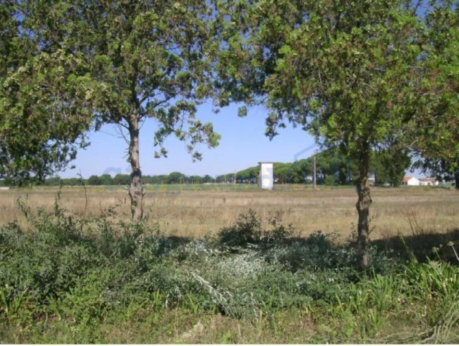 Terreno para Venda em Canha Foto 11