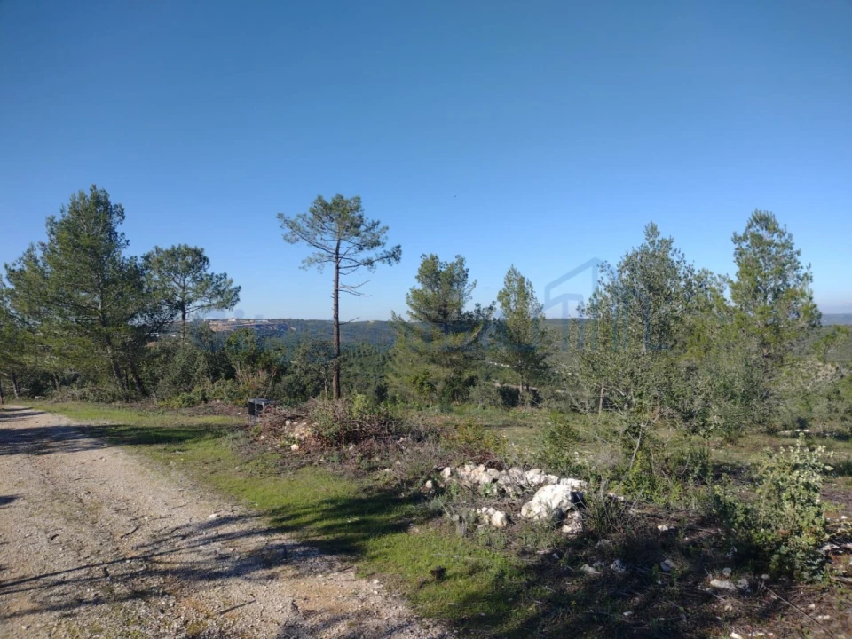 Terreno para Venda em Fatima Foto 10