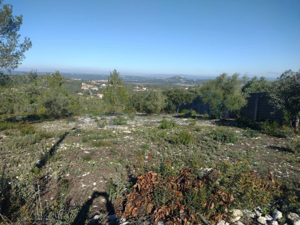Terreno para Venda em Fatima Foto 11