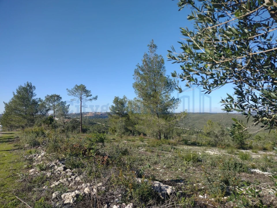 Terreno para Venda em Fatima Foto 15