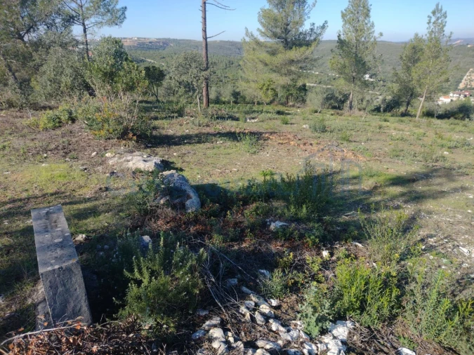 Terreno para Venda em Fatima Foto 6