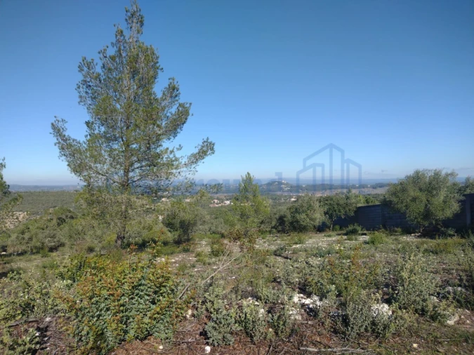 Terreno para Venda em Fatima Foto 9