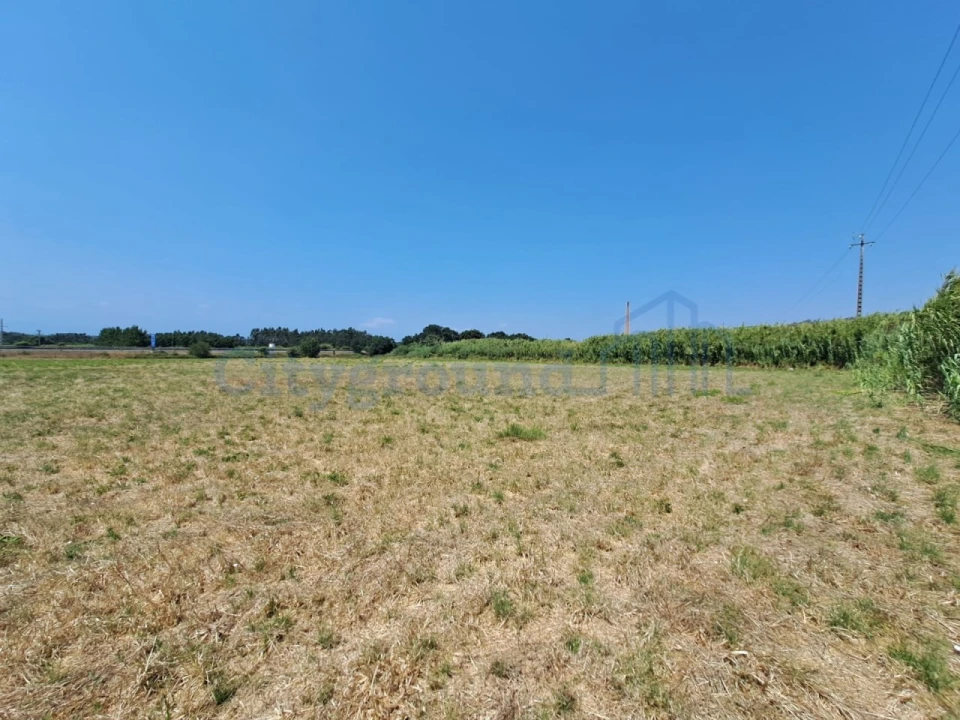 Terreno Comércio / Armazém para Venda em Tornada e Salir do Porto Foto 1