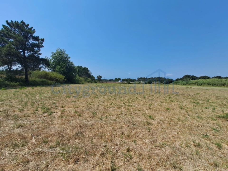 Terreno Comércio / Armazém para Venda em Tornada e Salir do Porto Foto 2