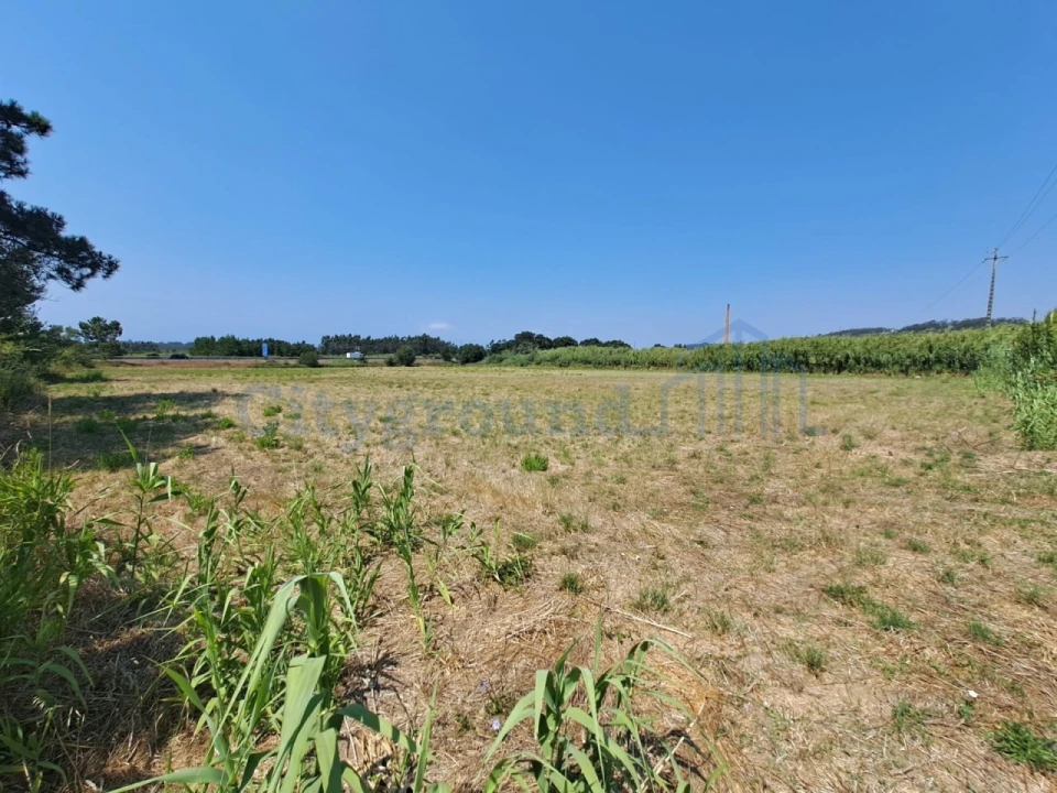 Terreno Comércio / Armazém para Venda em Tornada e Salir do Porto Foto 3