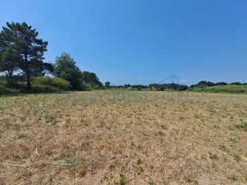 Terreno Comércio / Armazém para Venda em Tornada e Salir do Porto