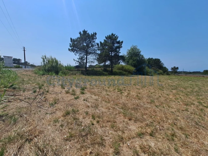 Terreno Comércio / Armazém para Venda em Tornada e Salir do Porto Foto 4