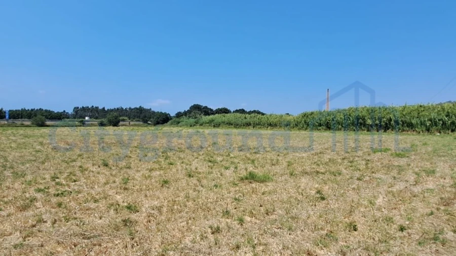 Terreno Comércio / Armazém para Venda em Tornada e Salir do Porto