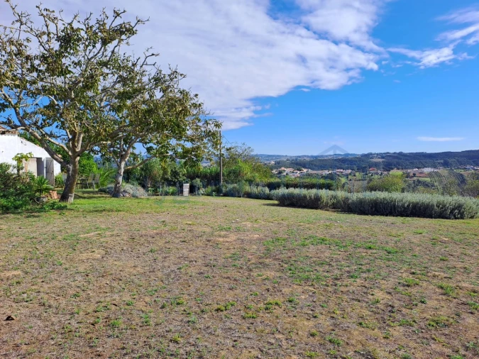 Moradia T1 para Venda em Santa Maria, São Pedro e Sobral da Lagoa Foto 18