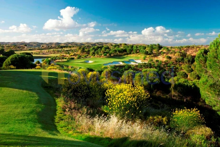 Terreno para Venda em Vila Nova de Cacela Foto 11