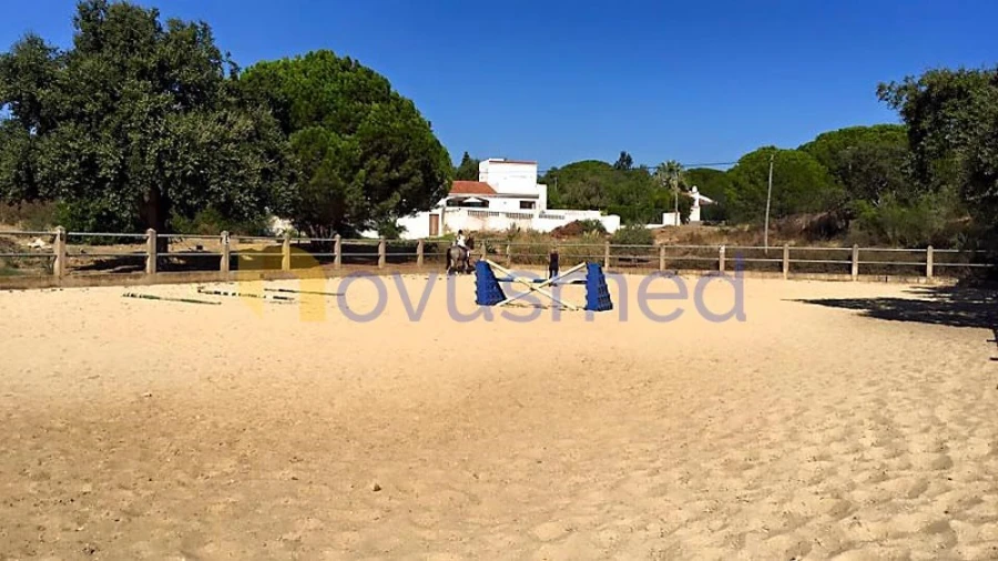 Terreno para Venda em Albufeira e Olhos de Água Foto 8