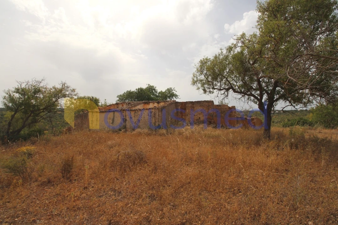 Quinta para Venda em Ferreiras Foto 7