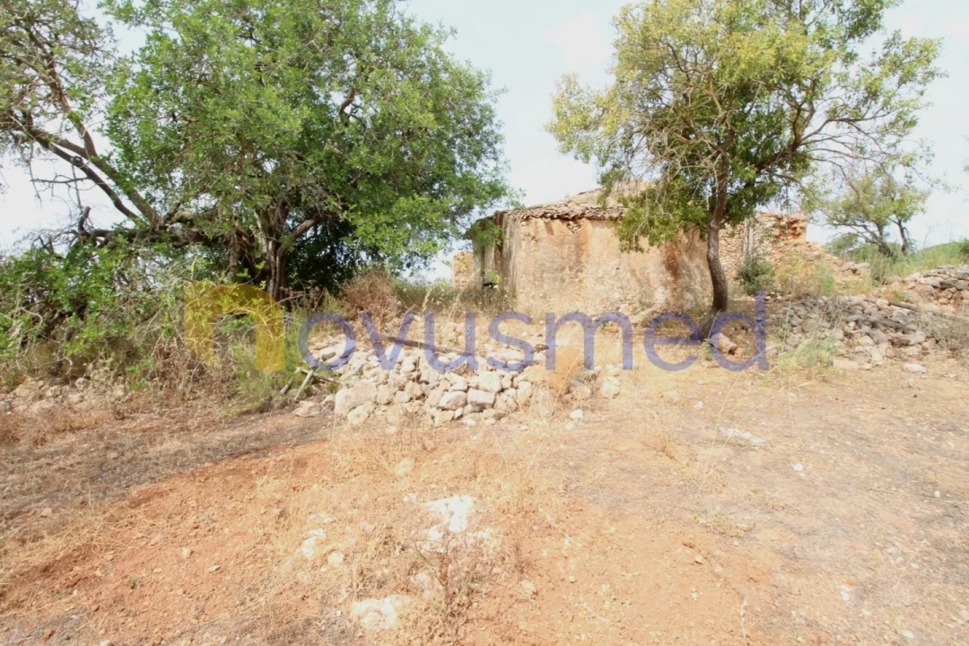 Quinta para Venda em Ferreiras Foto 8