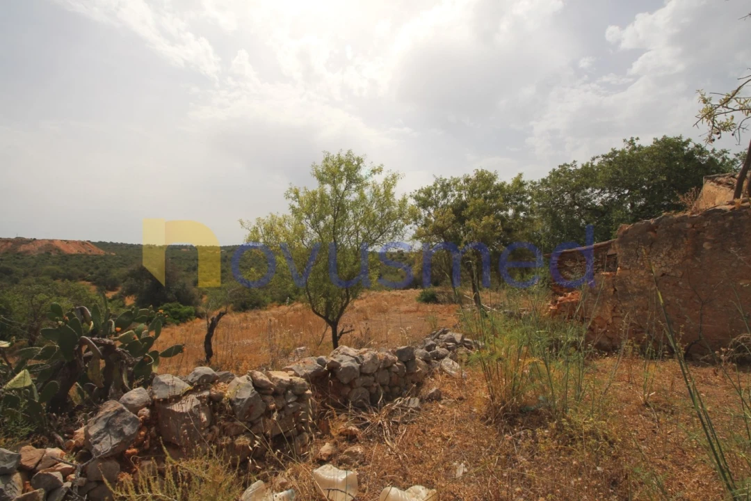 Quinta para Venda em Ferreiras Foto 9