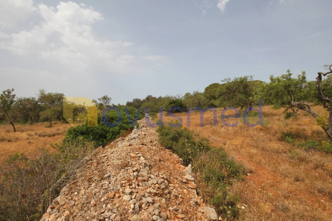 Quinta para Venda em Ferreiras Foto 16