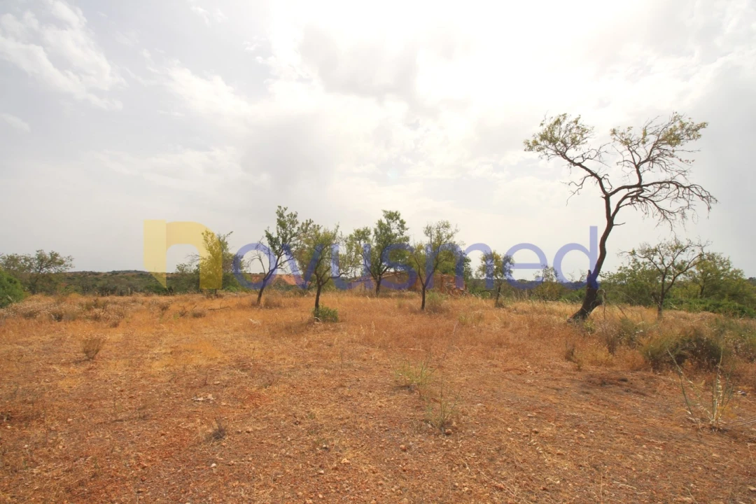 Quinta para Venda em Ferreiras Foto 19