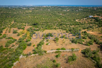Quinta T1 para Venda em Ferreiras