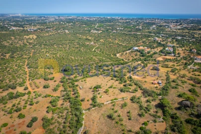 Quinta T1 para Venda em Ferreiras