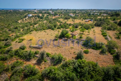 Quinta T1 para Venda em Ferreiras