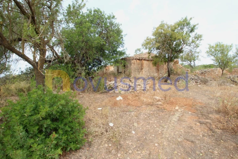 Quinta para Venda em Ferreiras Foto 3