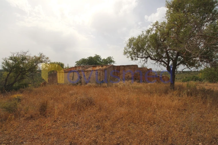 Quinta para Venda em Ferreiras Foto 7