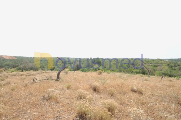 Quinta para Venda em Ferreiras Foto 4