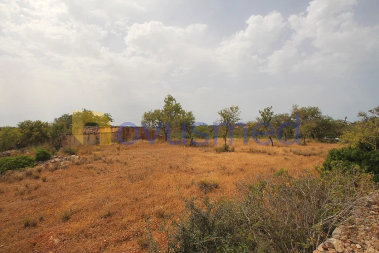 Quinta para Venda em Ferreiras Foto 17