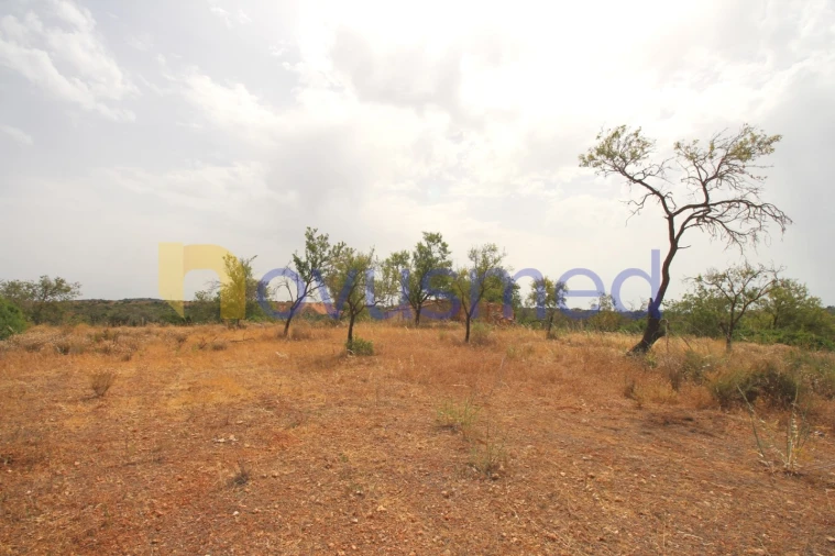 Quinta para Venda em Ferreiras Foto 19