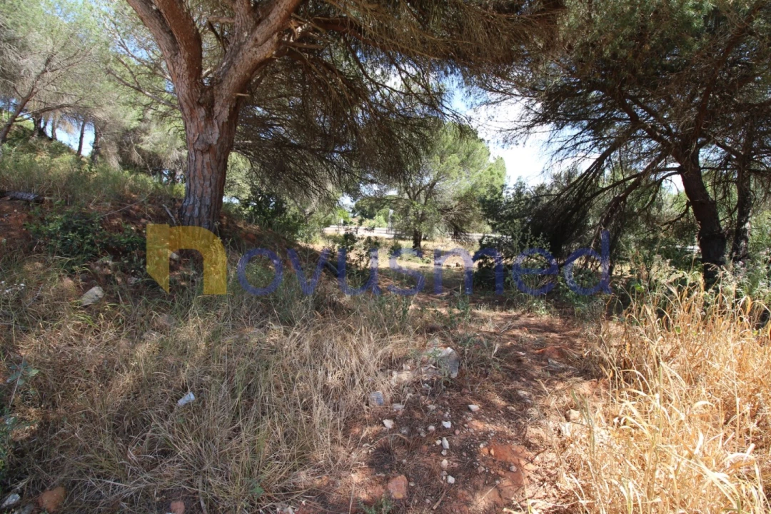 Terreno Comércio / Armazém para Venda em Albufeira e Olhos de Água Foto 10