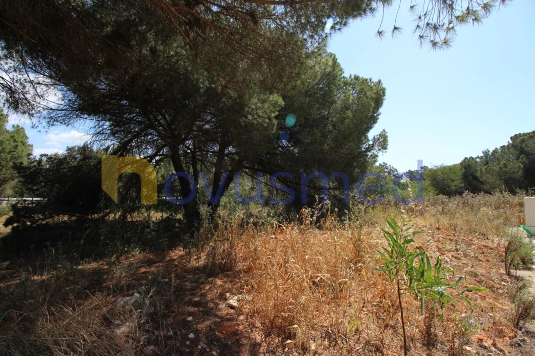 Terreno Comércio / Armazém para Venda em Albufeira e Olhos de Água Foto 11