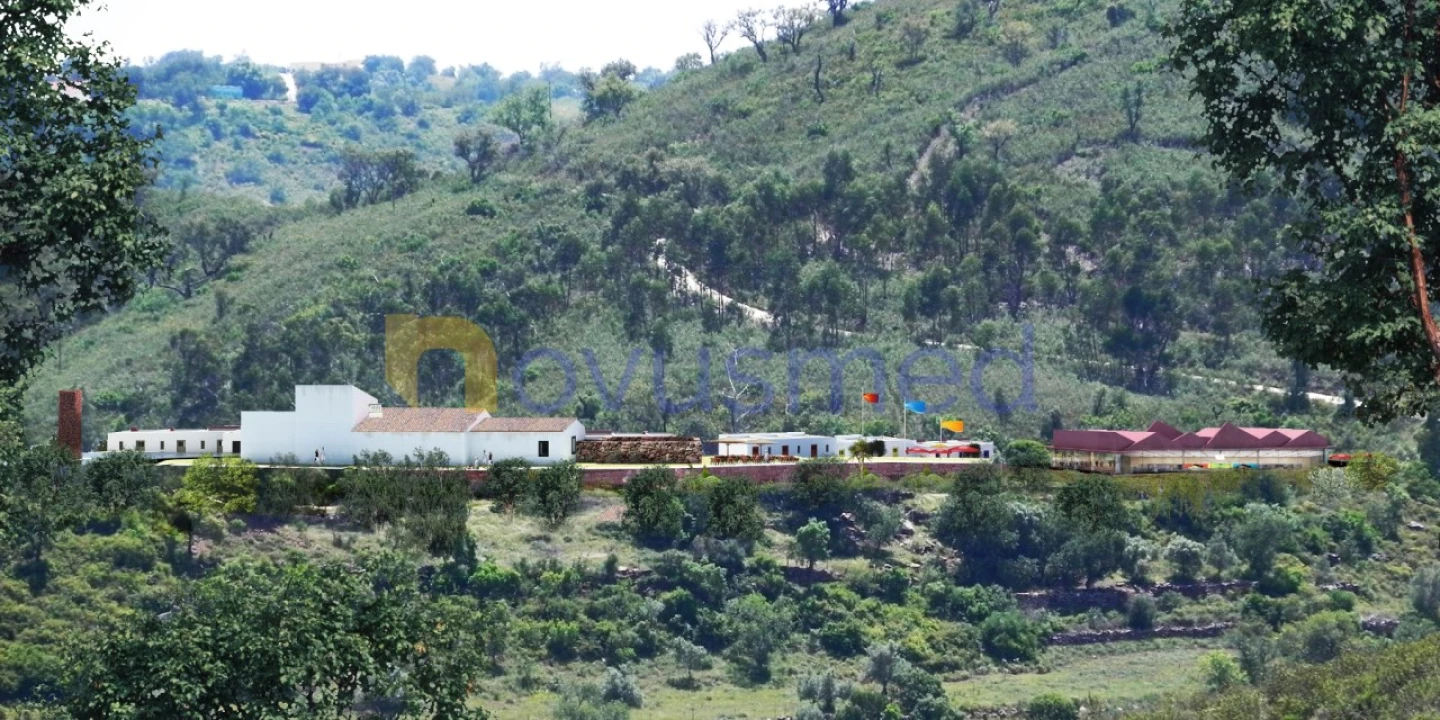 Quinta T36 para Venda em São Bartolomeu de Messines Foto 6