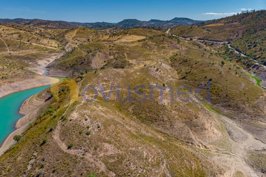 Quinta T36 para Venda em São Bartolomeu de Messines Foto 30