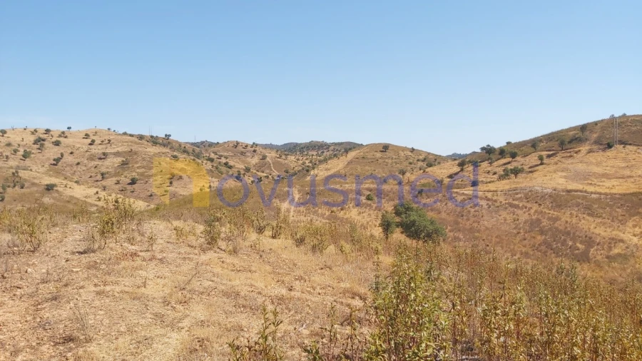 Quinta T36 para Venda em São Bartolomeu de Messines Foto 16