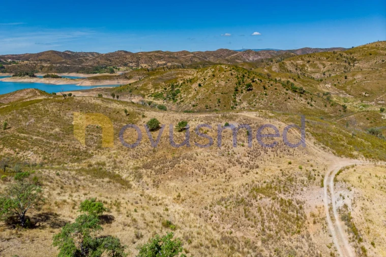 Quinta T36 para Venda em São Bartolomeu de Messines Foto 32