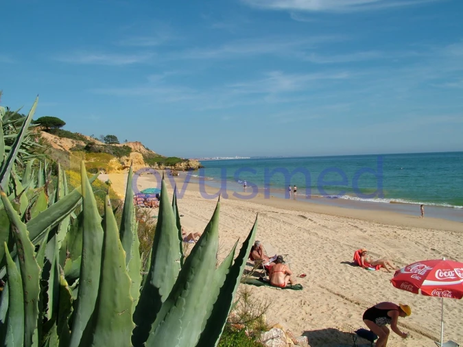 Apartamento T1 para Venda em Albufeira e Olhos de Água Foto 21