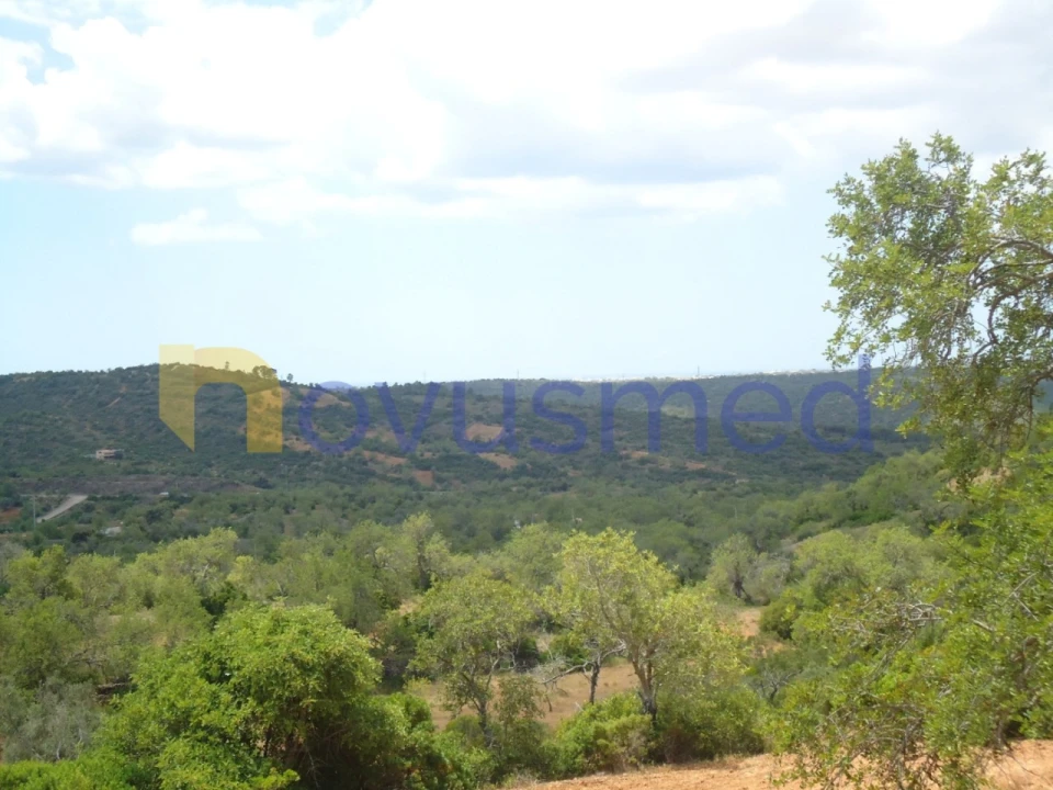Terreno Agricola ou Rústico para Venda em Paderne Foto 6